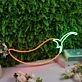Chili Custom Neon Sign