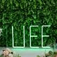 Life Green LED Neon Sign