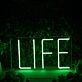 Life Green LED Neon Sign