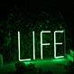 Life Green LED Neon Sign