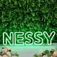 Nessy Green Neon Sign