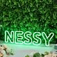Nessy Green Neon Sign