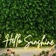 Hello Sunshine Yellow Custom Neon Sign