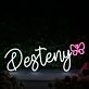Desteny White Neon Sign