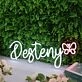 Desteny White Neon Sign
