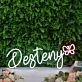 Desteny White Neon Sign