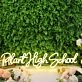 Plant High School Yellow Neon Sign