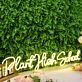 Plant High School Yellow Neon Sign