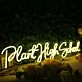 Plant High School Yellow Neon Sign