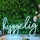 Hyggelig Blue Neon Sign