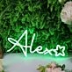 Alex Green Neon Sign