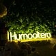 Humanitera Yellow Neon Sign