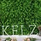 KELZ White Neon Sign