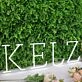 KELZ White Neon Sign