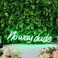 Noway Dude Green Neon Sign