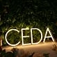 CFDA Yellow Neon Sign