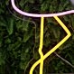 Lovely Flamingo Custom Neon Sign