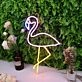 Lovely Flamingo Custom Neon Sign