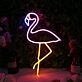 Lovely Flamingo Custom Neon Sign