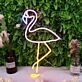 Lovely Flamingo Custom Neon Sign