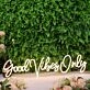 Good Vibes Only LED Yellow Neon Sign