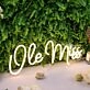 Ole Miss Yellow Neon Sign