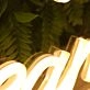 Girl Of My Dreams Yellow Neon Sign