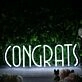 Congrats White LED Neon Sign