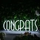 Congrats White LED Neon Sign
