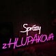 Spravy Zhlupakova Neon Sign