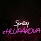 Spravy Zhlupakova Neon Sign