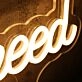 Hall You Need Is Love Yellow Neon Sign