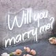 Will You Marry Me Custom White Neon Sign