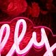Jenally Red Neon Sign