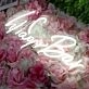 Locos Bar White Neon Sign