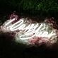 Locos Bar White Neon Sign