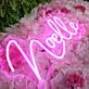 Noelle Pink Neon Sign