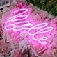 Noelle Pink Neon Sign
