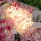 Piper Yellow Neon Sign