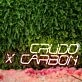 Crudo Carbon Custom Neon Sign
