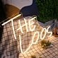 The Loos Yelalow Neon Sign