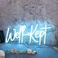 Well Kept Blue Neon Sign