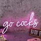 Go Cocks Pink Neon Sign