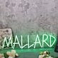 Mallarf Green Neon Sign