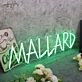 Mallarf Green Neon Sign