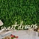 Sweet Dreams Yellow LED Neon Sign