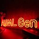 AI ML Gen Orange Neon Sign