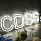 CDSS White Neon Sign