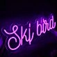Ski Bird Purple Neon Sign