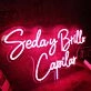 Seday Brillo Capilar Red Neon Sign